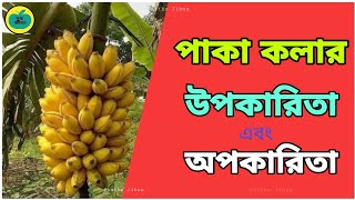 পাকা কলার উপকারিতা ও অপকারিতা | পাকা কলা খেলে কি হয় | Benefits of bananas for health | Sustho Jiban