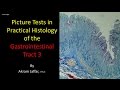 Picture tests in histology of the gastrointestinal system 3