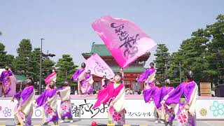 [4K] Rey華繚乱　京都さくらよさこい 2023 さくよさ 1日目 神宮道スペシャルステージ