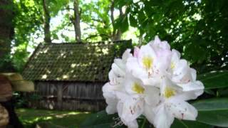 Mooiste wandeling van Overijssel