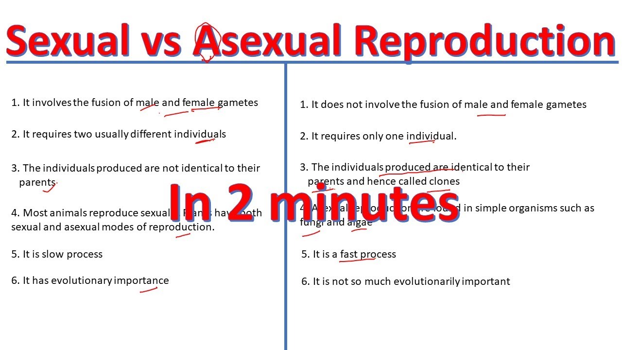 Sexual Vs Asexual Reproduction | Differences Between Sexual And Asexual ...