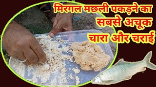 मिरगल मछली का अचूक चारा और चराई || Mirgal Fish Bait || Rohu Goldan Fish Bait || R95fishing