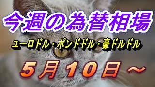 【FX】ユーロドル、ポンドドル、豪ドルドルの為替相場の予想と前日の動きをチャートから解説。5月10日～