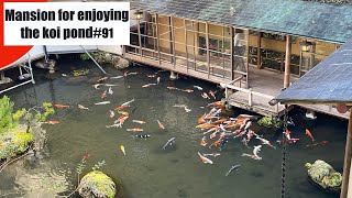 Mansion for enjoying the koi pond (Arai ryokan, Izu, Shizuoka, Japan)