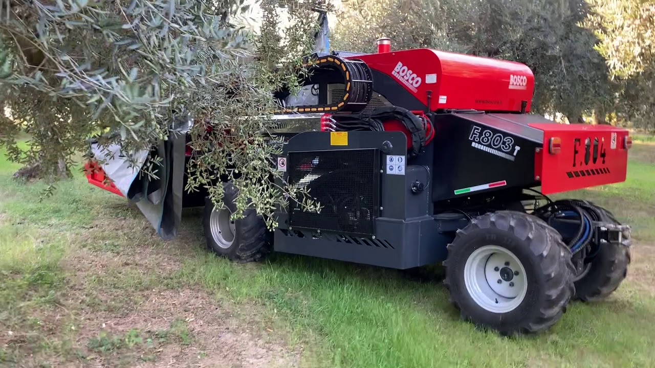 BOSCO - Raccolta Olive Meccanizzata F.804 (testata Vibrante + Ombrello ...