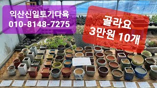 (익산신일토기다육)#다육화분#인기많은♡3만원10개#010-8148-7275