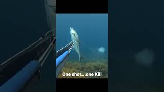 The real One shot..One kill