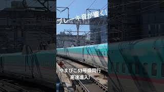 ブレーキ音が響く！東北新幹線やまびこ53号盛岡行きが高速進入！(E5系+E6系)