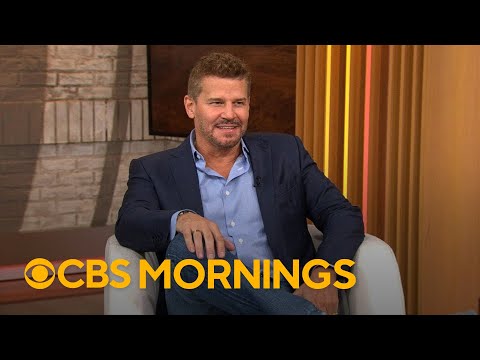 Is Boreanaz leaving SEAL team?