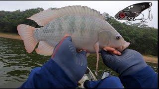 PESCARIA DE TILAPIA REPRESA BILLINGS