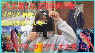 八丈島釣り。2023年1月初釣り2月釣果情報のみ、カンパチ狙いに寒い1.2月に八丈島釣果は？天候に恵まれ1泊2日で2日共釣り出来ました。