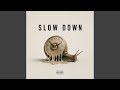 SLOW DOWN