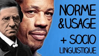 norme & usage + sociolinguistique - Ma Langue dans Ta Poche #5