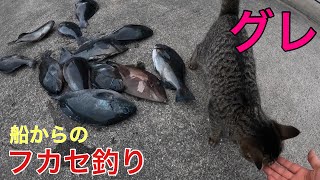 船からフカセ釣りでグレ狙う！【沖磯】釣り日記　vol.12　 fishing