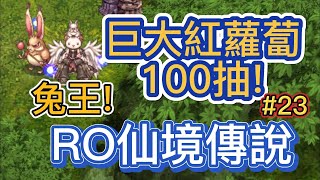 TWRO仙境傳說 - 巴基利 兔飛猛進活動 巨大紅蘿蔔１００抽實測！ 兔王來臨  Ragnarok Online 2023-0121 活動日常