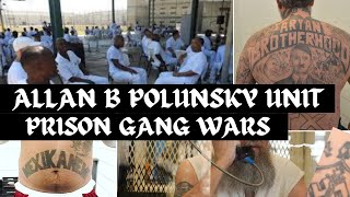 The Brutal Gang Wars in Allan B. Polunsky Unit Prison