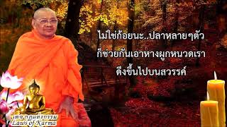 ธรรมะก่อนนอน หลวงพ่อฤาษีลิงดำ ตอน การปล่อยปลา ต่ออายุ ธรรมะสอนใจ ONLINE