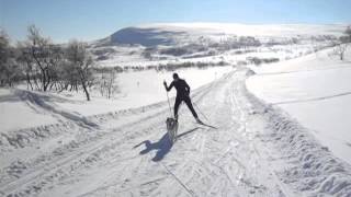 Härlig längdskidåkning i Funäsfjällen i sportlovstider