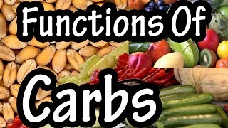 Functions Of Carbohydrates - What Do Carbohydrates Do In The Body - Importance Of Carbohydrates