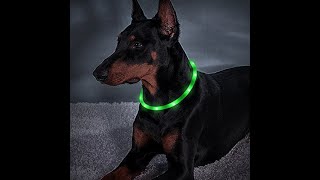 Awesome LED Dog Collar Reviews!