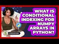 What Is Conditional Indexing For NumPy Arrays In Python? - Python Code School