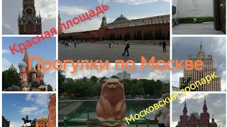 Прогулки по Москве. Московский зоопарк. Красная площадь.