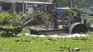 เรือเก็บผักตบชวาขนาดเล็ก | เหมือนวาสGarden