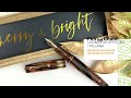 Leonardo Officina Italiana MZ Grande Masterpiece Fountain Pen #Shorts Feature: New Pen Quick Peek