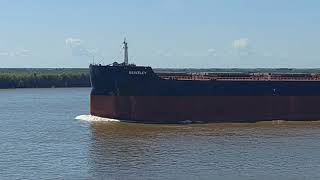 BULK CARRIER PANAMAX ARRIVING IN SAN LORENZO