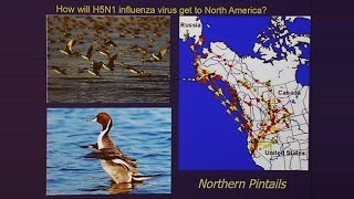Emerging Biological Threats: Ebola Influenza and Anthrax