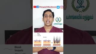 Hair loss - Minoxidil action | தலைமுடி உதிர்தல் - Minoxidil மருந்து எப்படி பயன் தருகிறது