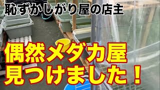 世界メダカ奇行！鳥取県米子市編/場所を公表したくないメダカ屋さん/見た目ファンキーだけどシャイな店主