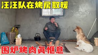 寒气逼人的天气，带着汪汪队在烤房里取暖，烤一节腊肠围着炉火真惬意【乡野志刚】