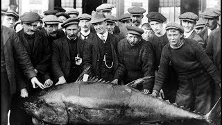 Ancestry Genealogy Photographs Lerwick Shetland Islands Scotland