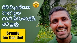 ජීව වායුවයි - අරළු බුළු නෙල්ලි සහ හුණු අතර ඇති සම්බන්ධතාවය. A most important question about biogas.