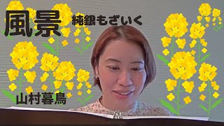 「風景　純銀もざいく」山村暮鳥