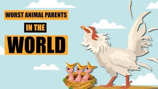 The Worst Animal Parents in the World