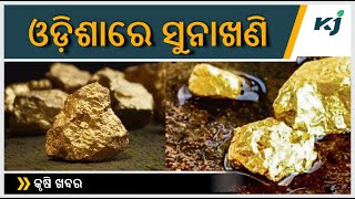 ଓ଼ଡିଶାରେ ସୁନାଖଣି । EPFO । PENSION । PADDY । TOP AGRICULTURE NEWS