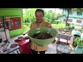 สูตรก๋วยเตี๋ยวเรือ ก๋วยเตี๋ยวเรือกะทิสด สอนสูตรก๋วยเตี๋ยวเรือกะทิสดสอนสูตรอาหารไทยep.8