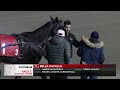 mohawk sbred january 6 2025 race 3 woodbine horse race replay