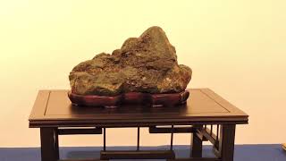 The Best of 20 Years The Trophy Suiseki Stone Displays