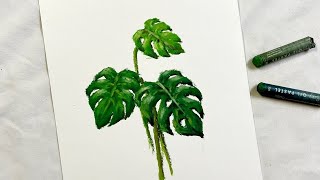 오일파스텔로 몬스테라 그리기. Drawing Monstera with oil pastels.