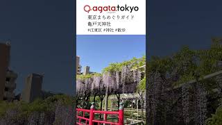 【agataJapan.tokyo】東京まちめぐりガイド | 亀戸天神社