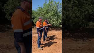 Kelly Model 1204 Almond Orchard Demonstration in Victoria, Australia #shorts