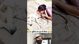 कुतिया का दूध पी लिया 😂😱 || #shorts #funny #funnyvideo #reactionvideo #reaction #comedy