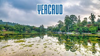 Yercaud Hills | ஏற்காடு மலை | 4K UHD | Bird Watching | Nikon Z6