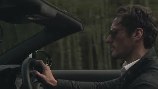 LP - Too Much