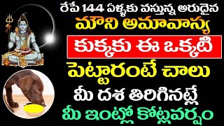 రేపే 144 ఏళ్ళకు వస్తున్న మౌని అమావాస్య కుక్కకు ఈ ఒక్కటి పెట్టారంటే చాలు మీ దశ తిరిగినట్లే కోట్లవర్షం