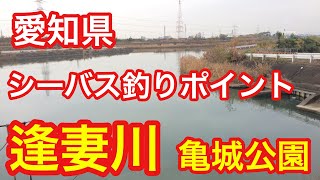 逢妻川 亀城公園  愛知県 シーバス釣りポイント