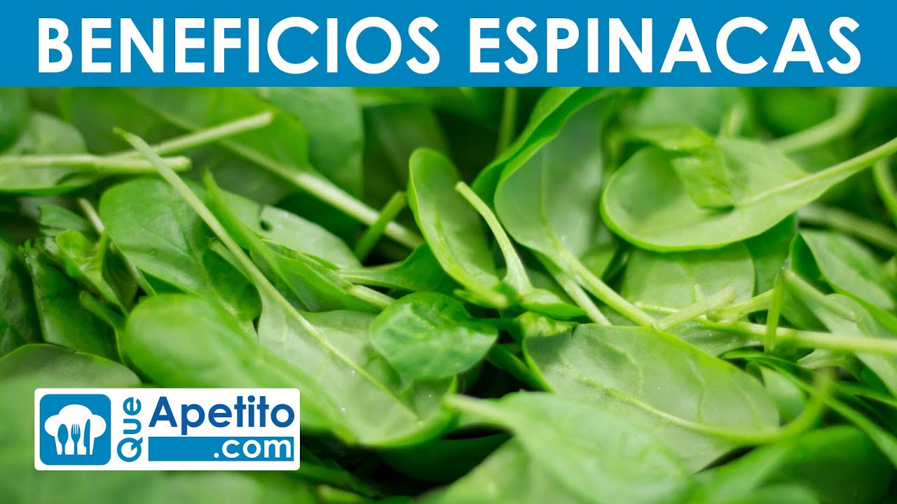 8 Propiedades Y Beneficios De Las Espinacas | QueApetito - YouTube